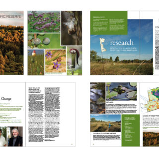 U of T – Philanthropy Brochure